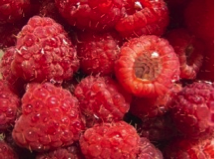 raspberrys