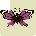 CassieKate's Avatar