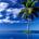 Cbrown031274@gmail.com's Avatar
